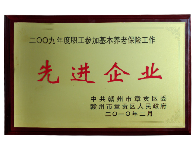 2009年榮獲先進企業