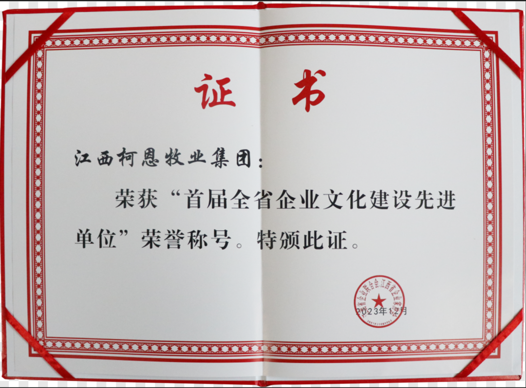 全省企業(yè)文化建設先進單位（證書）