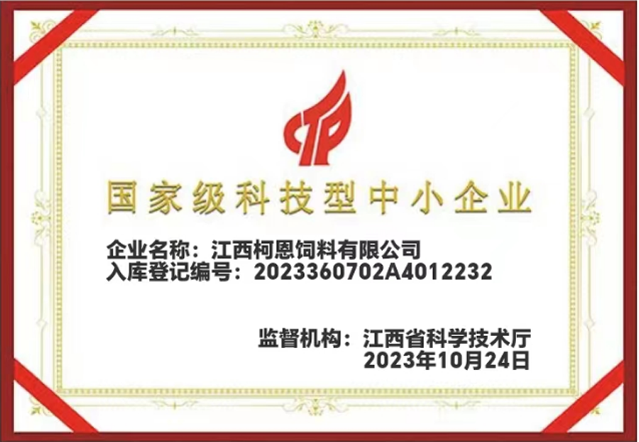 國家級科技型中小企業證書（江西柯恩）