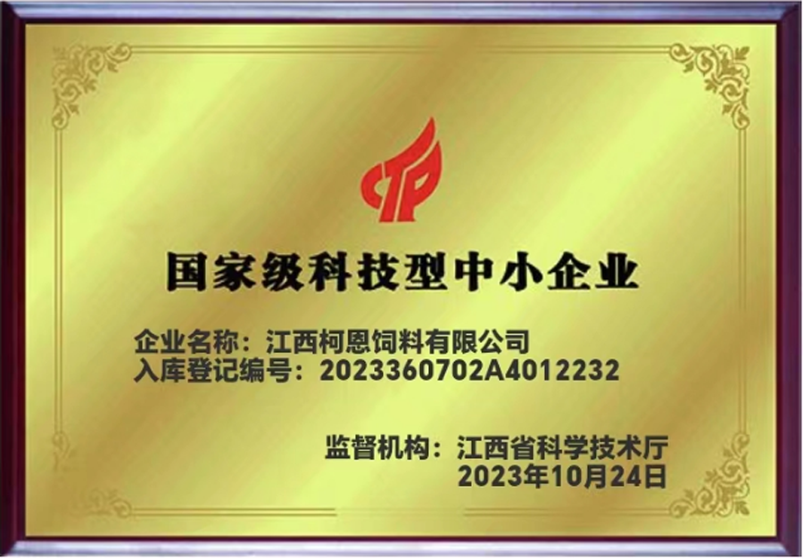 國家級科技型中小企業牌匾（江西柯恩）